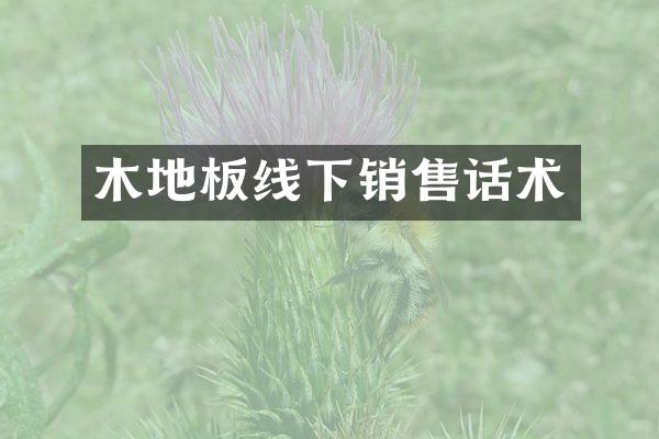 木地板线下销售话术