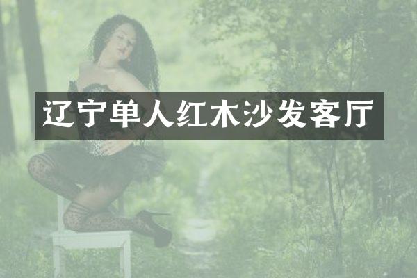 辽宁单人红木沙发客厅