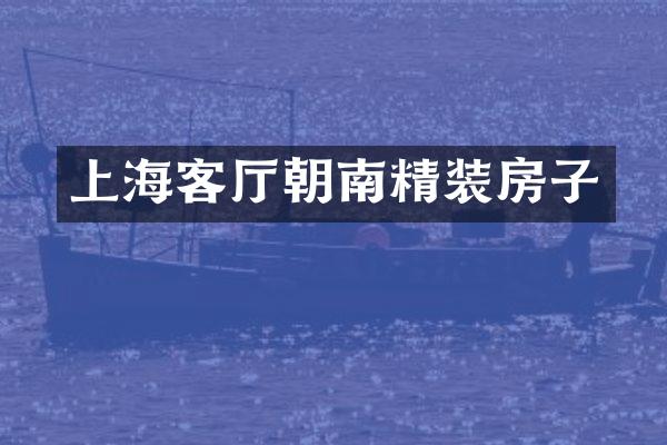上海客厅朝南精装房子