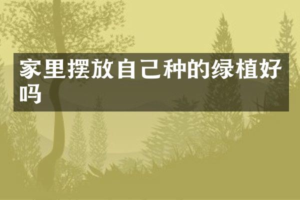 家里摆放自己种的绿植好吗