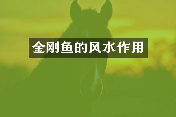 金刚鱼的风水作用