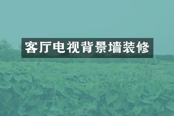 客厅电视背景墙装修