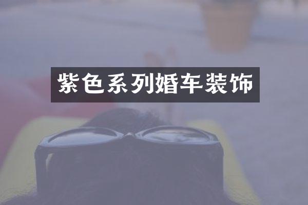 紫色系列婚车装饰