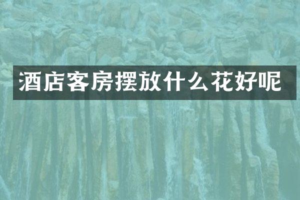 酒店客房摆放什么花好呢