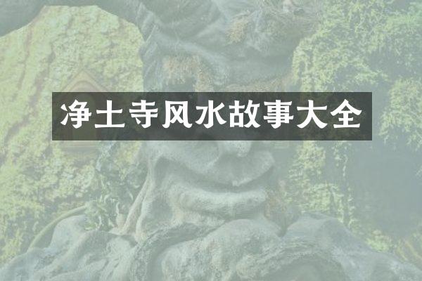 净土寺风水故事大全