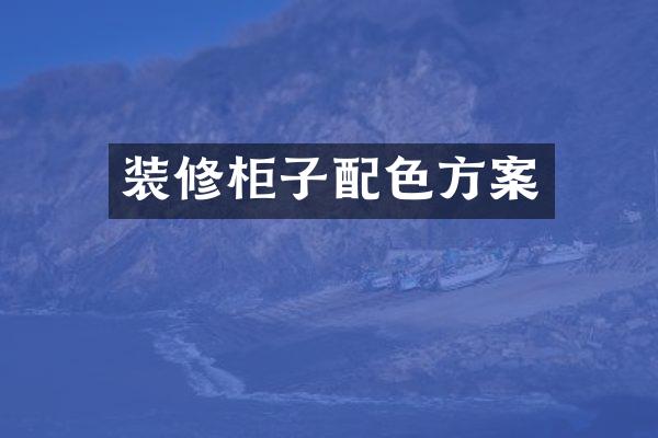 装修柜子配色方案
