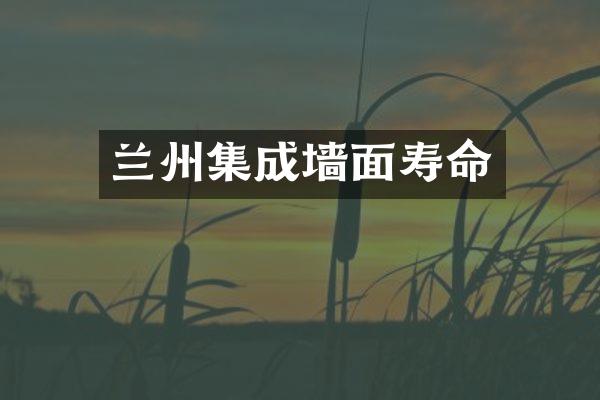 兰州集成墙面寿命