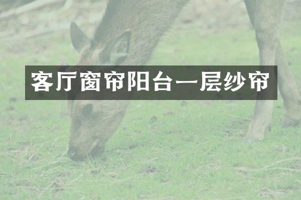 客厅窗帘阳台一层纱帘