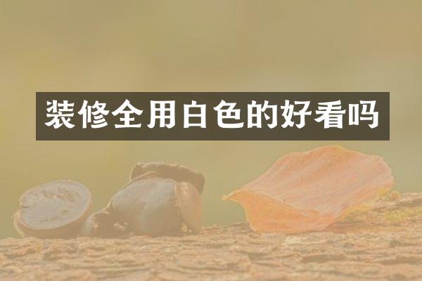 装修全用白色的好看吗