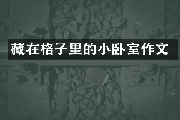 藏在格子里的小卧室作文