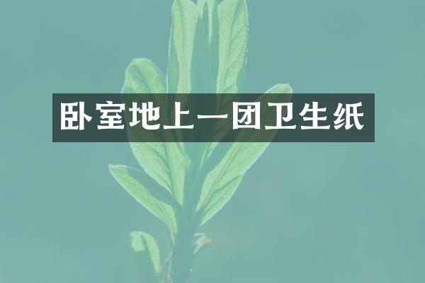 卧室地上一团卫生纸