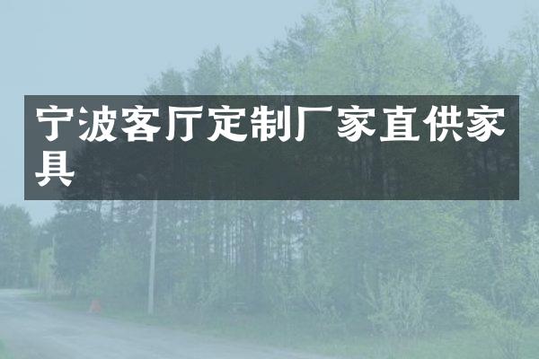 宁波客厅定制厂家直供家具