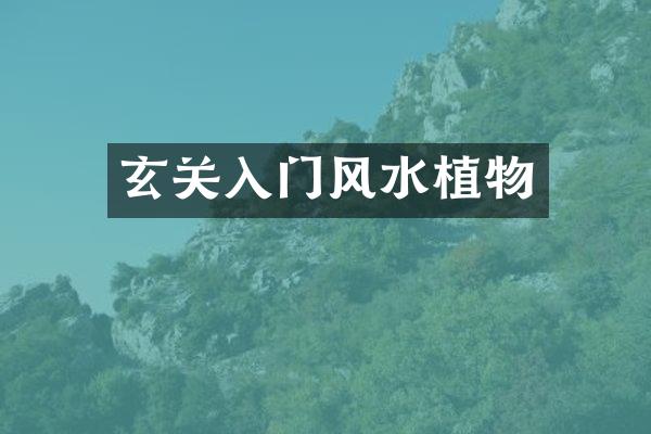 玄关入门风水植物
