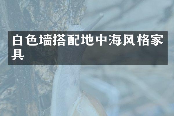 白色墙搭配地中海风格家具
