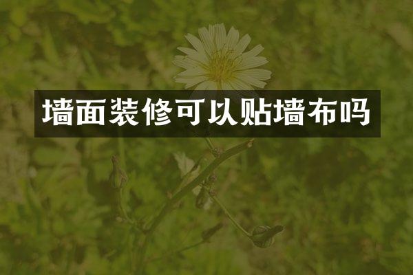墙面装修可以贴墙布吗