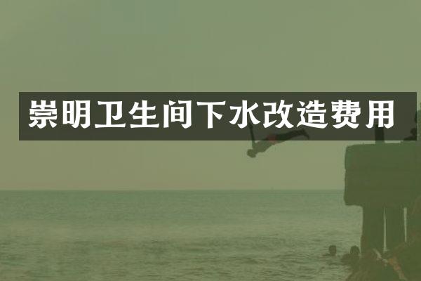 崇明卫生间下水改造费用