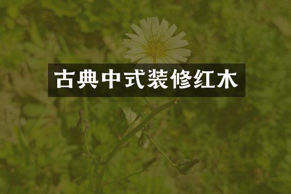 古典中式装修红木