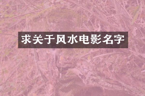 求关于风水电影名字