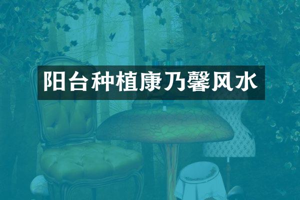 阳台种植康乃馨风水