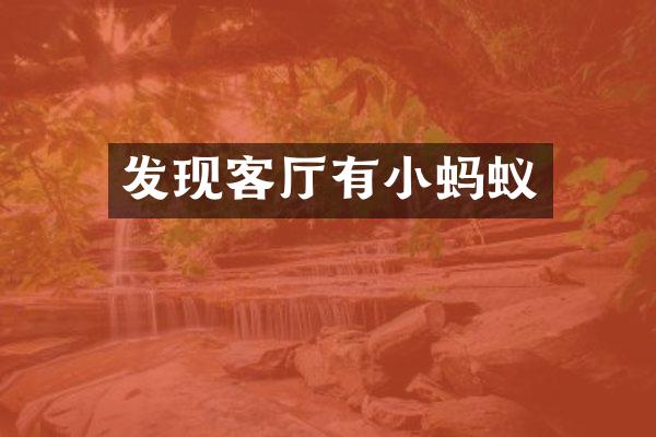 发现客厅有小蚂蚁