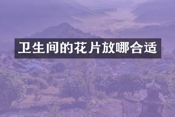 卫生间的花片放哪合适