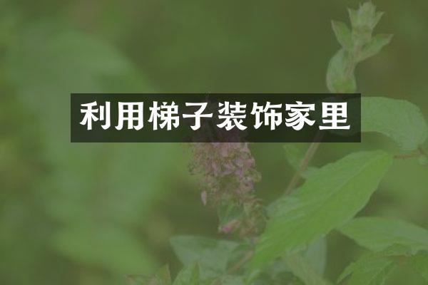 利用梯子装饰家里
