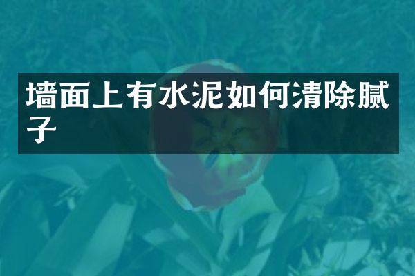 墙面上有水泥如何清除腻子