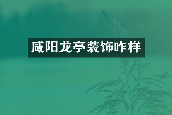 咸阳龙亭装饰咋样