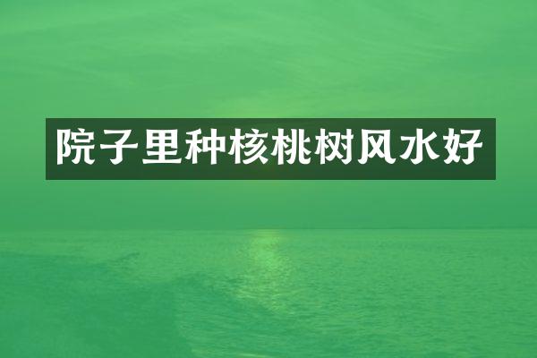 院子里种核桃树风水好