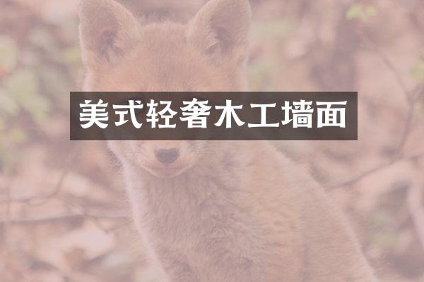 美式轻奢木工墙面