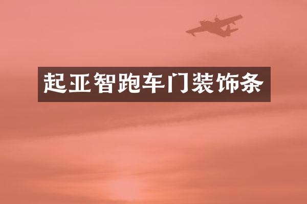 起亚智跑车门装饰条