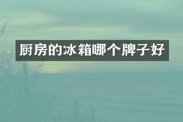 厨房的冰箱哪个牌子好
