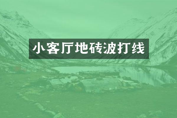 小客厅地砖波打线