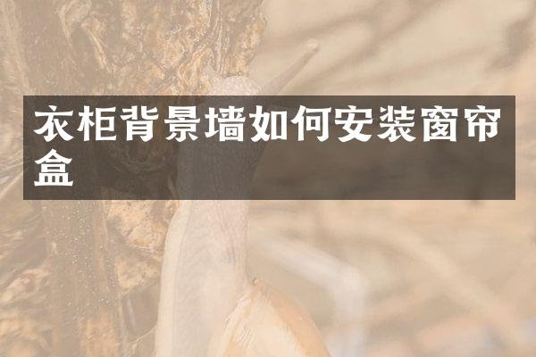 衣柜背景墙如何安装窗帘盒
