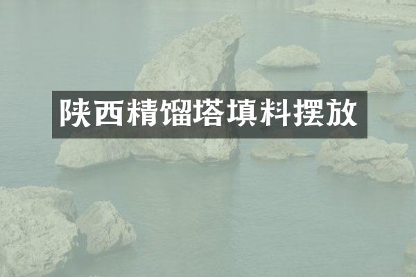 陕西精馏塔填料摆放