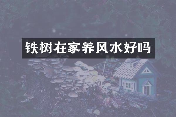铁树在家养风水好吗