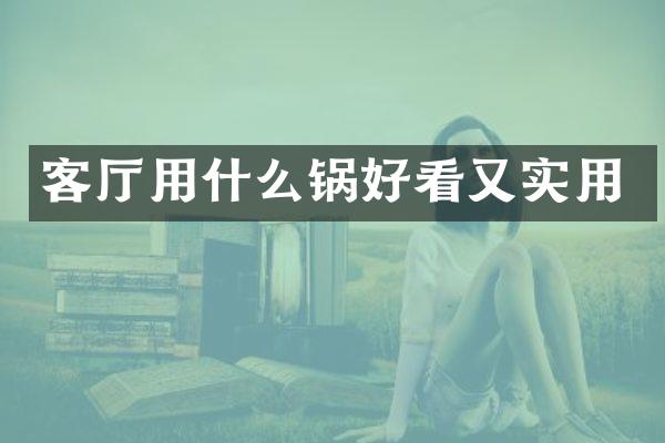 客厅用什么锅好看又实用