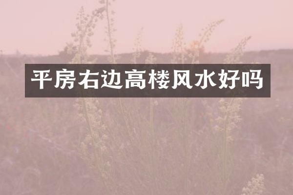 平房右边高楼风水好吗