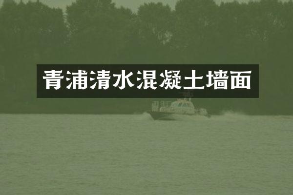 青浦清水混凝土墙面