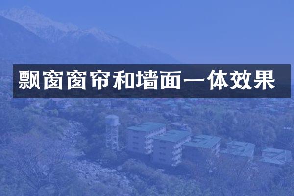 飘窗窗帘和墙面一体效果