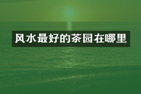 风水最好的茶园在哪里