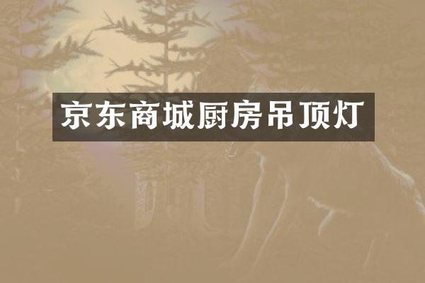 京东商城厨房吊顶灯
