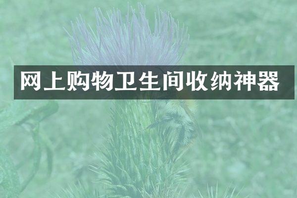 网上购物卫生间收纳神器