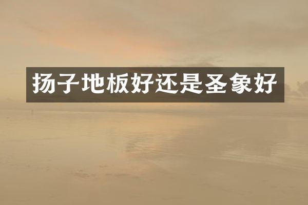 扬子地板好还是圣象好