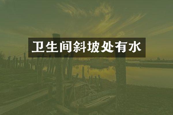 卫生间斜坡处有水