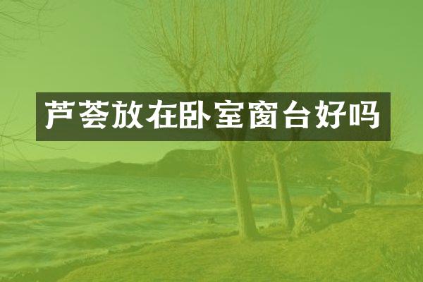 芦荟放在卧室窗台好吗