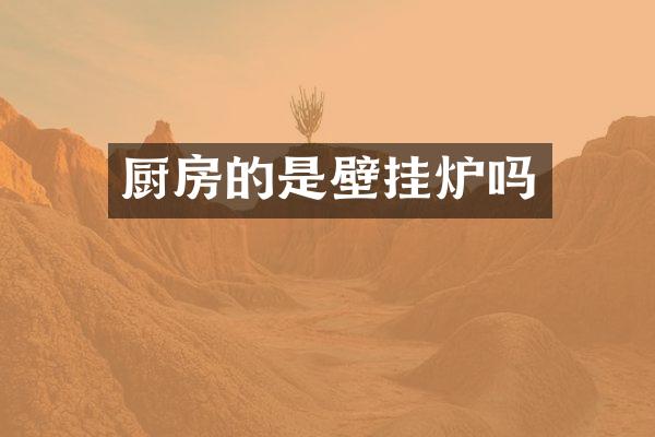 厨房的是壁挂炉吗