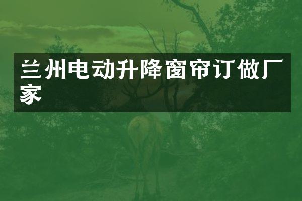 兰州电动升降窗帘订做厂家