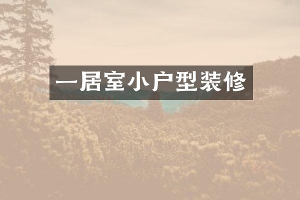 一居室小户型装修