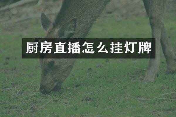 厨房直播怎么挂灯牌